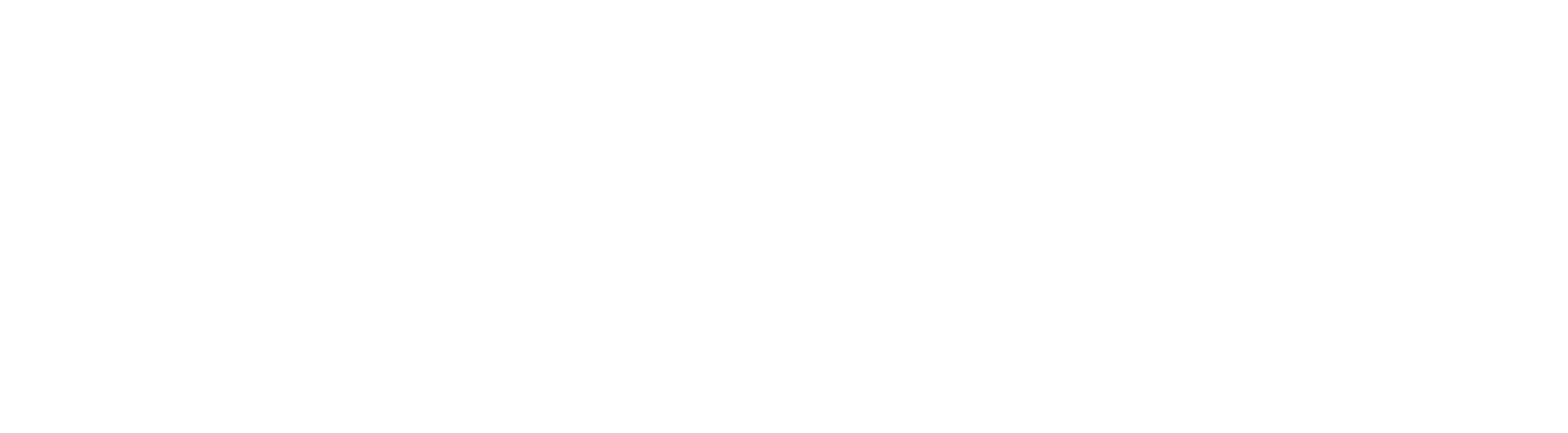 Transparent Screens logotyp